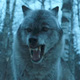 Screenshot: Game Of Thrones